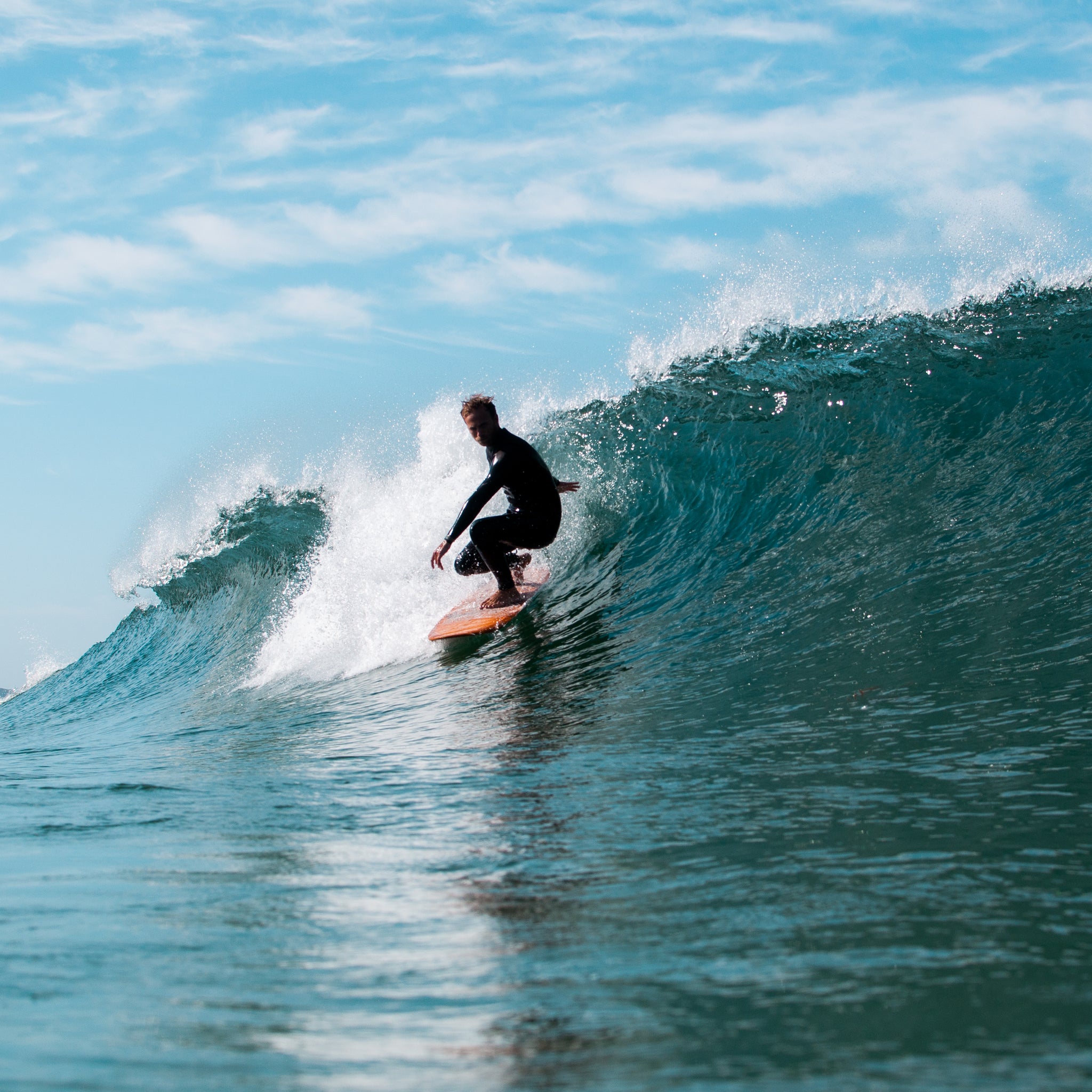 Guide to Fishes & Small Boards