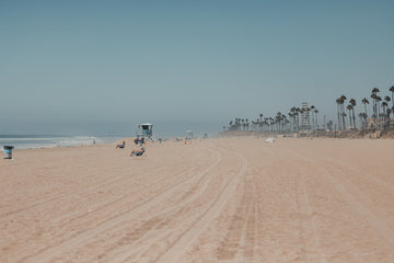 Updates on the Oil Spill