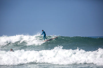 "We Have to Prove That These Things Actually Work"