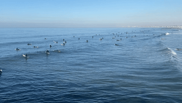 Learn How to Watch Surfing