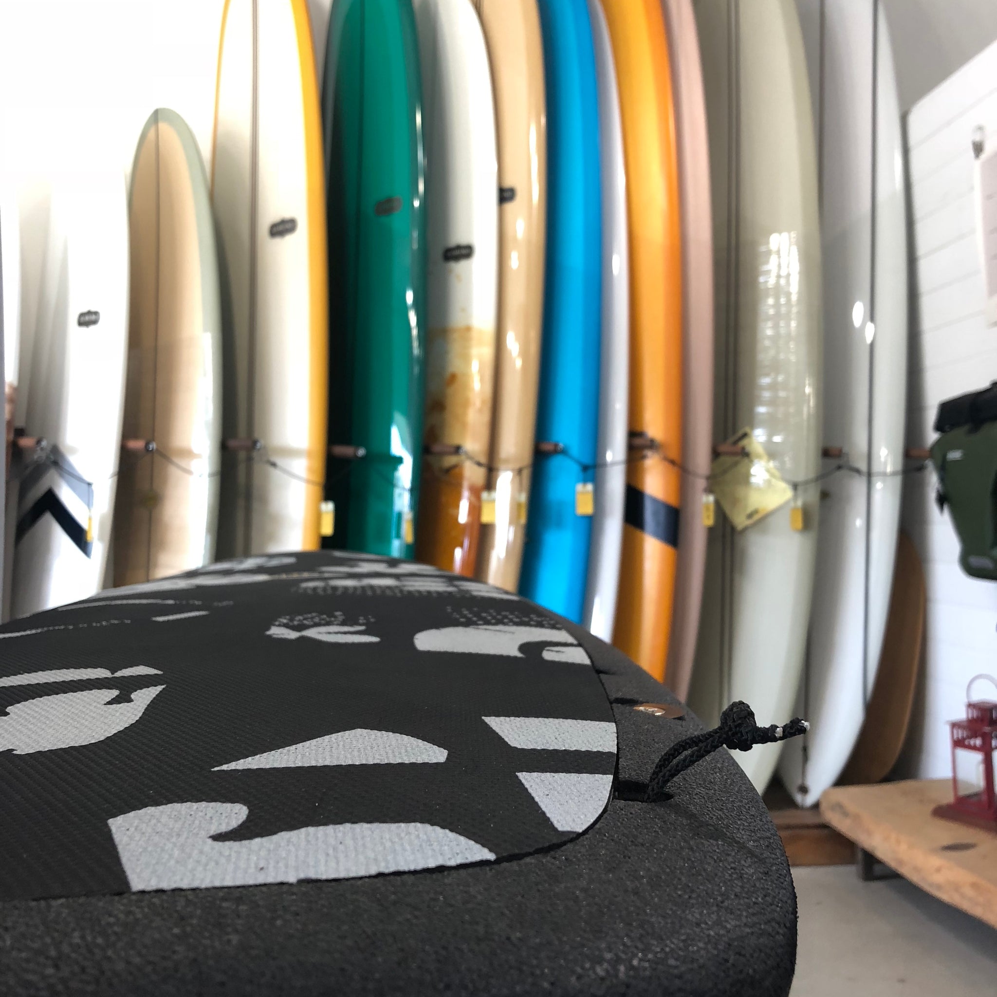 FAQ: Does the R-Series have a Leash Attachment?