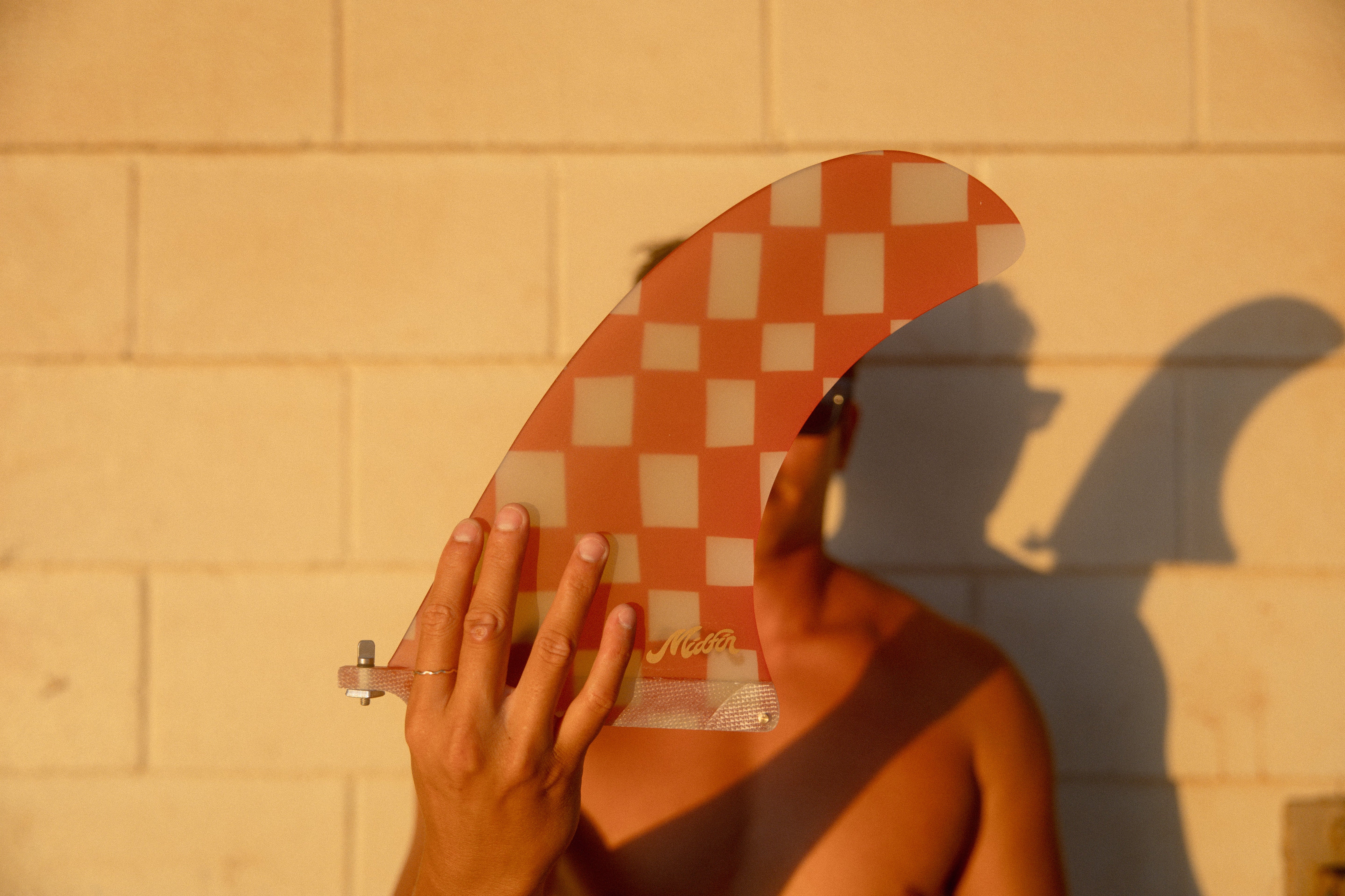 Sunday Picnic - Tracer