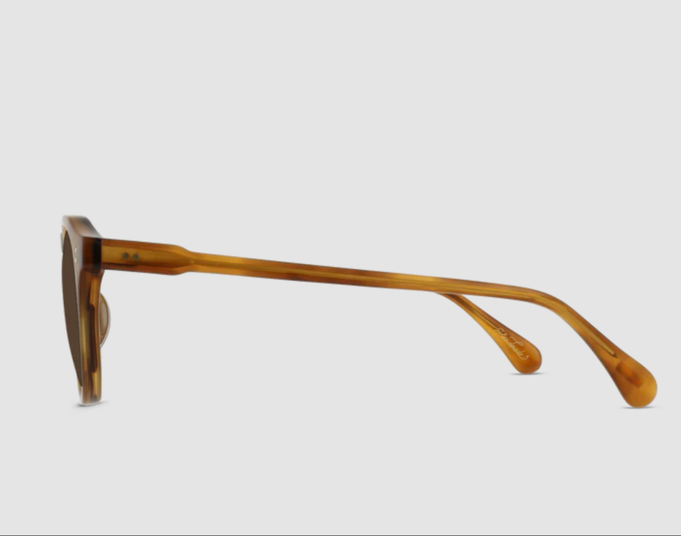 Remmy Sunglasses | Raen