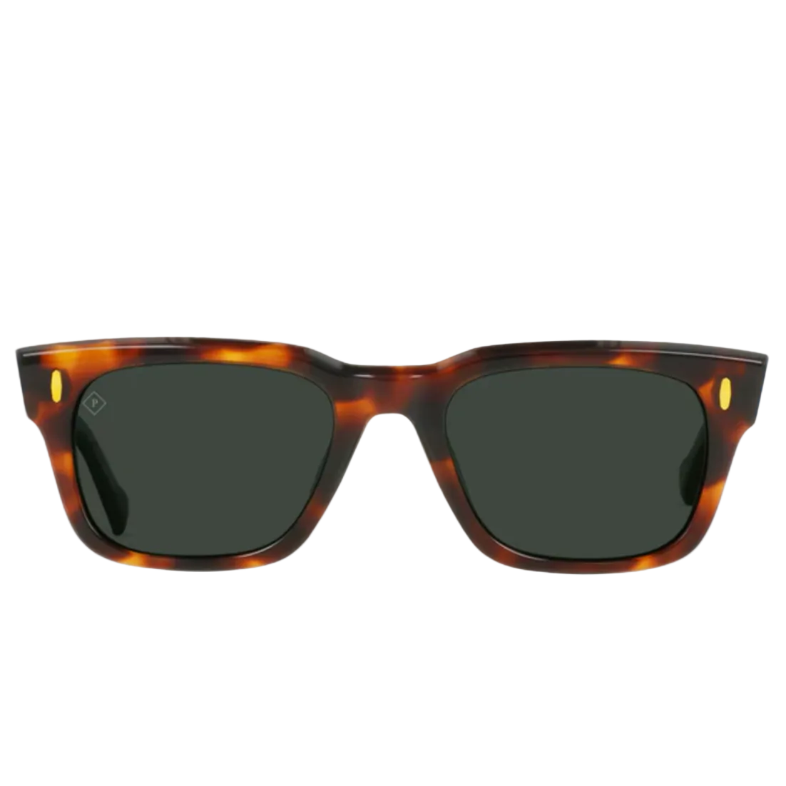 Conway Sunglasses | Raen