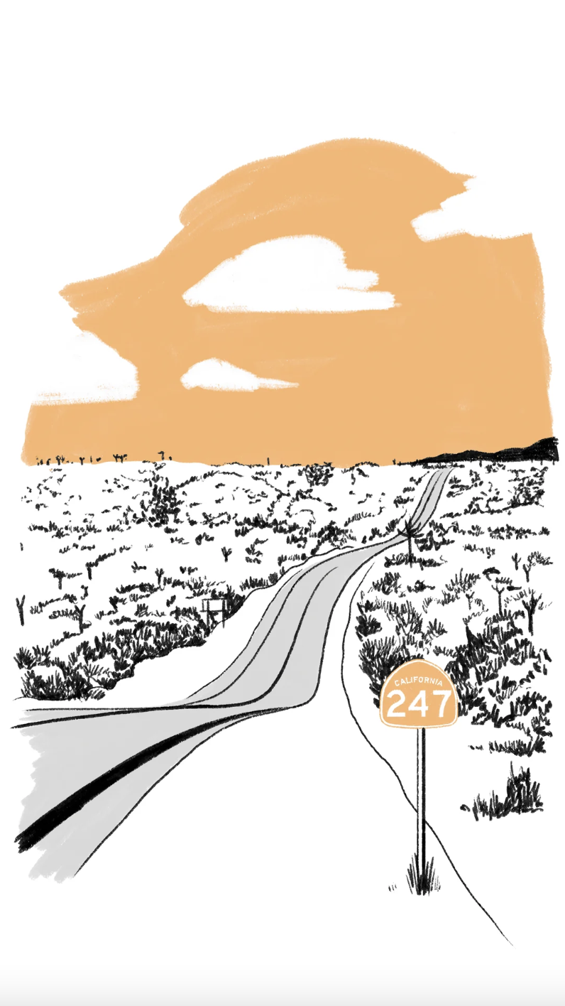 Joshua Tree Field Guide | Wildsam